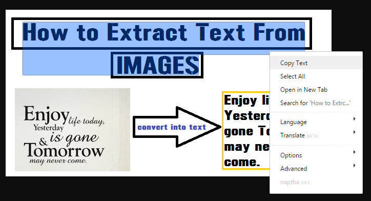 Right click and select 'Copy Text'