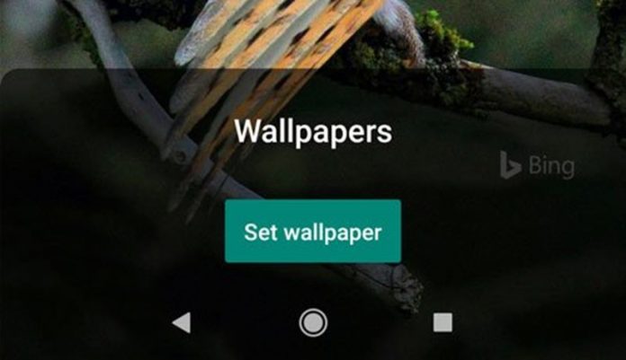 How to Set Bing's Daily Photos as Wallpaper on Android How to Set Bing's Daily Photos as Wallpaper on Android