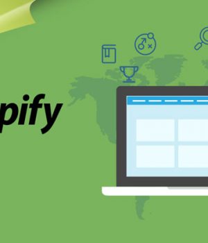 Traffic To Your Shopify Store: