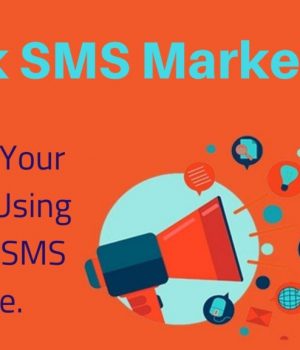 Why Should Every Business Owner Have an SMS Provider