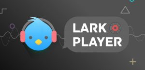 Lark Player