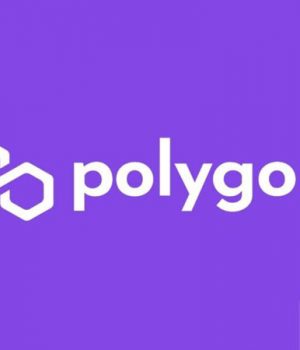 How High Will Polygon Crypto Go--