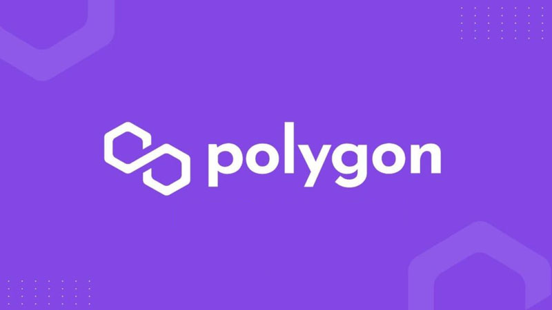 How High Will Polygon Crypto Go--