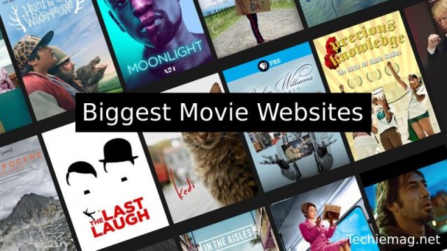 Biggest Movie Websites