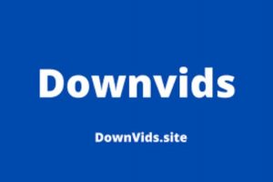 DownVids 