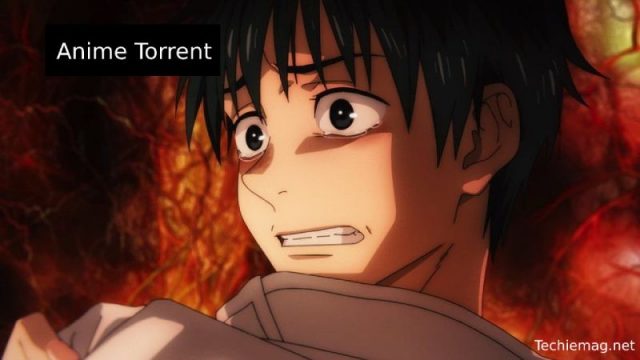 Anime Torrent